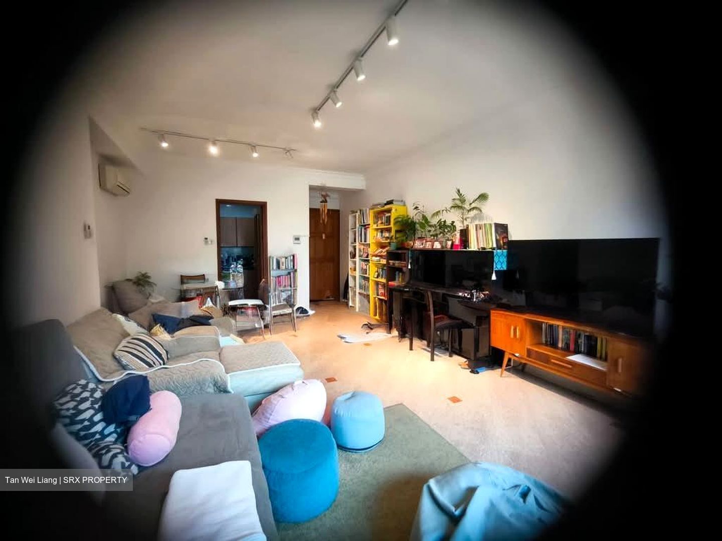 Spring Grove (D10), Condominium #566137861